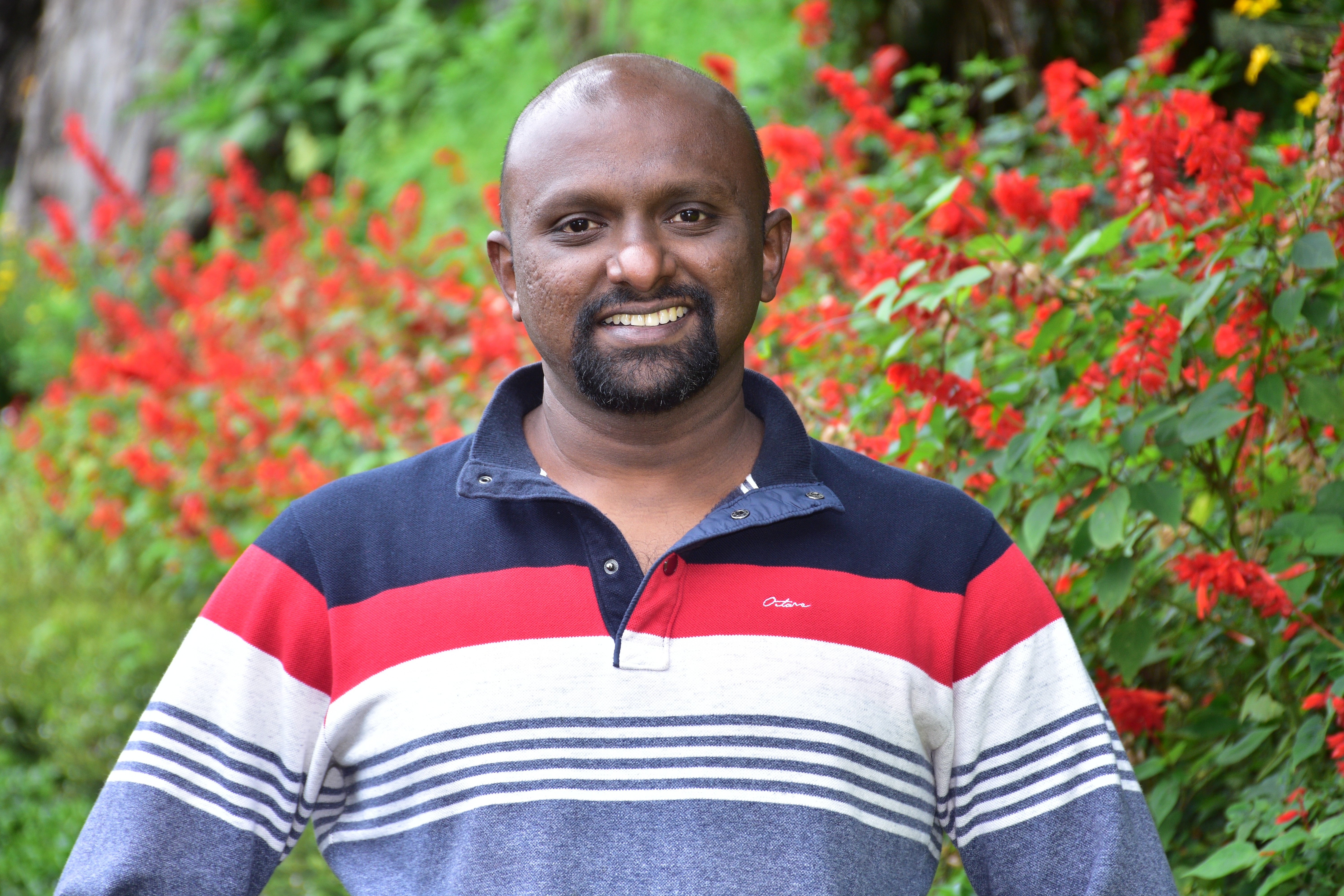 Michael Carter craft strategic design