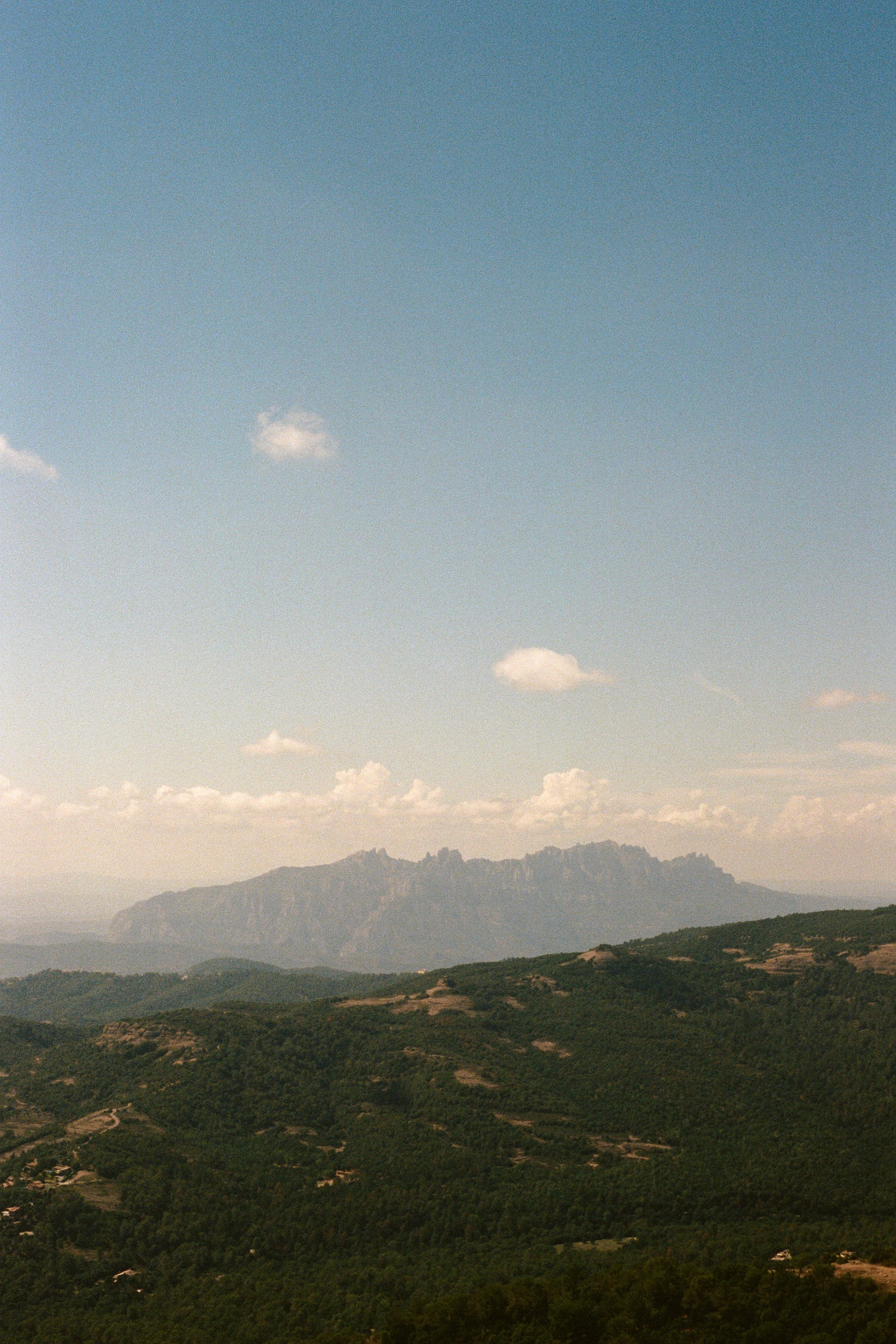 Reel image