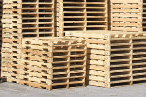 person standing beside rack