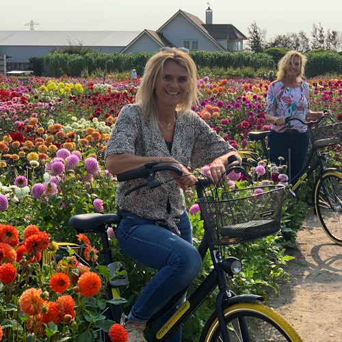 Tulpery 的大丽花田