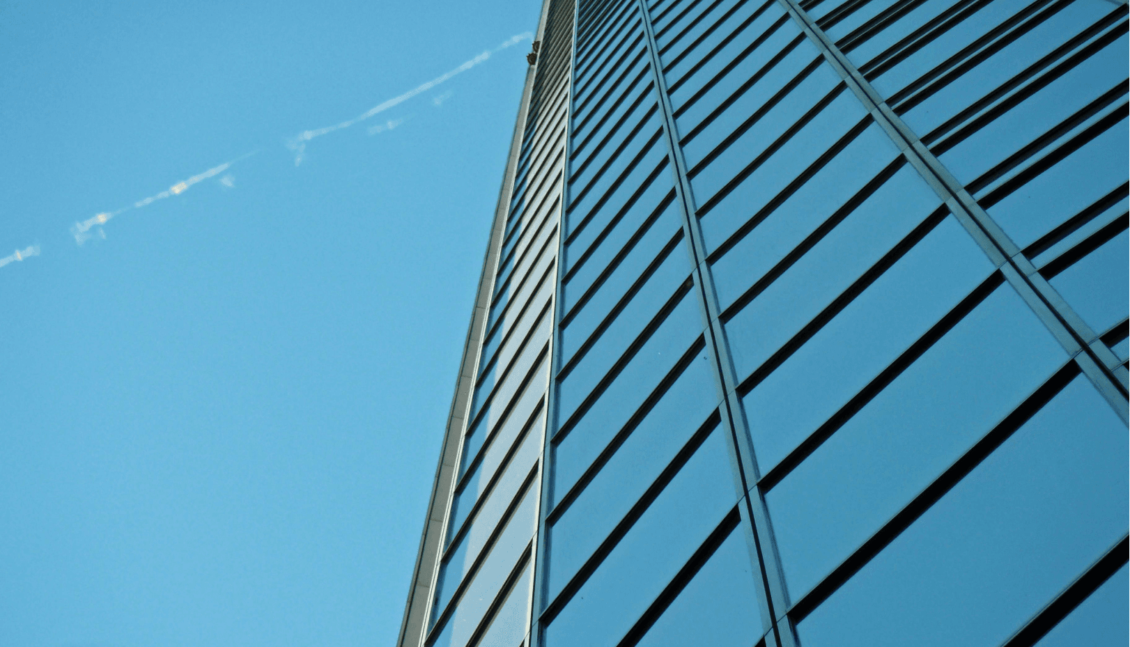 person sitting on grass and using phone