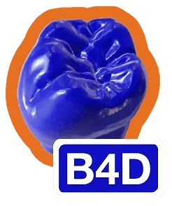 Blender for Dental