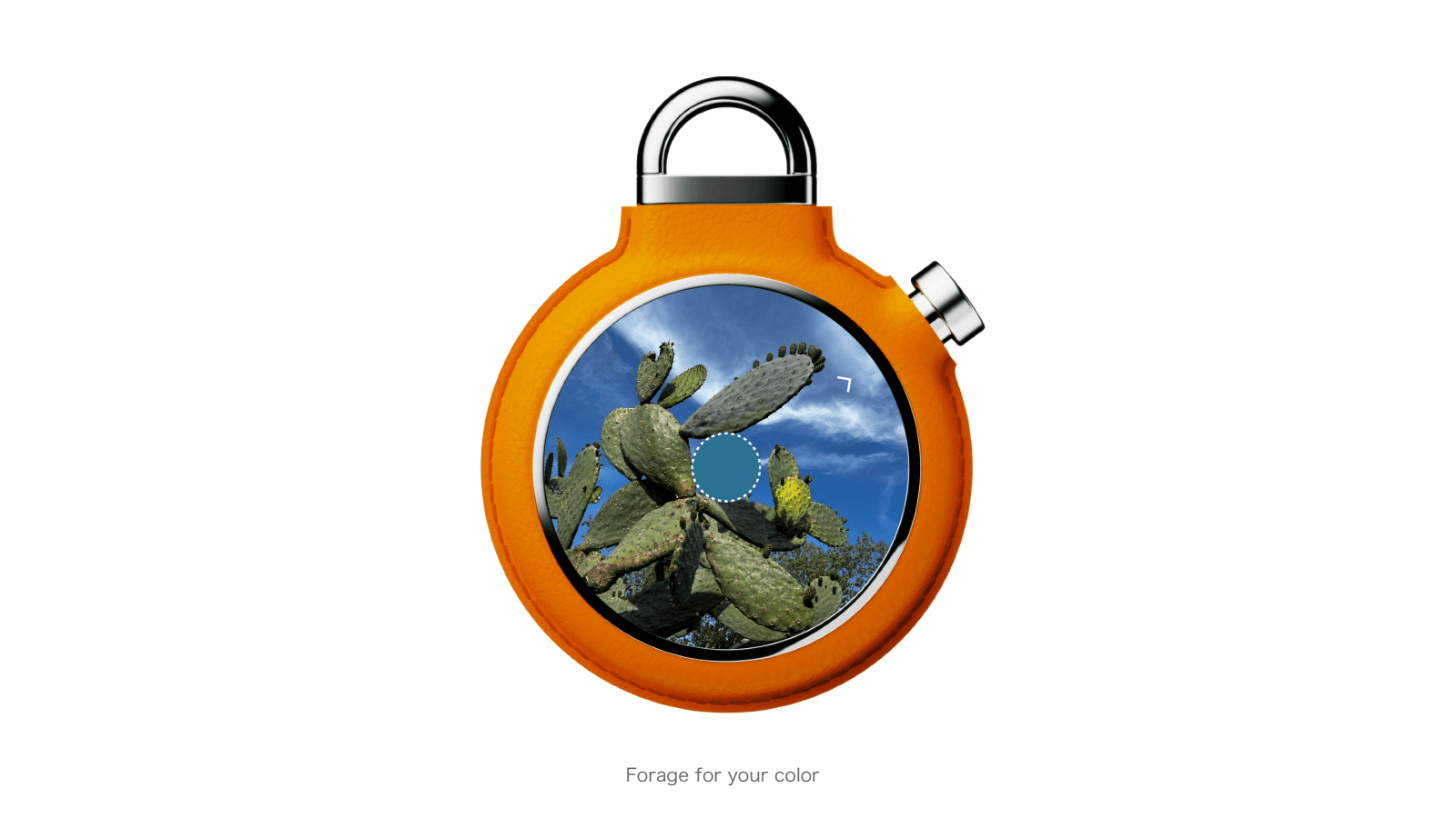 CACHE colour capture interface with a cactus photograph