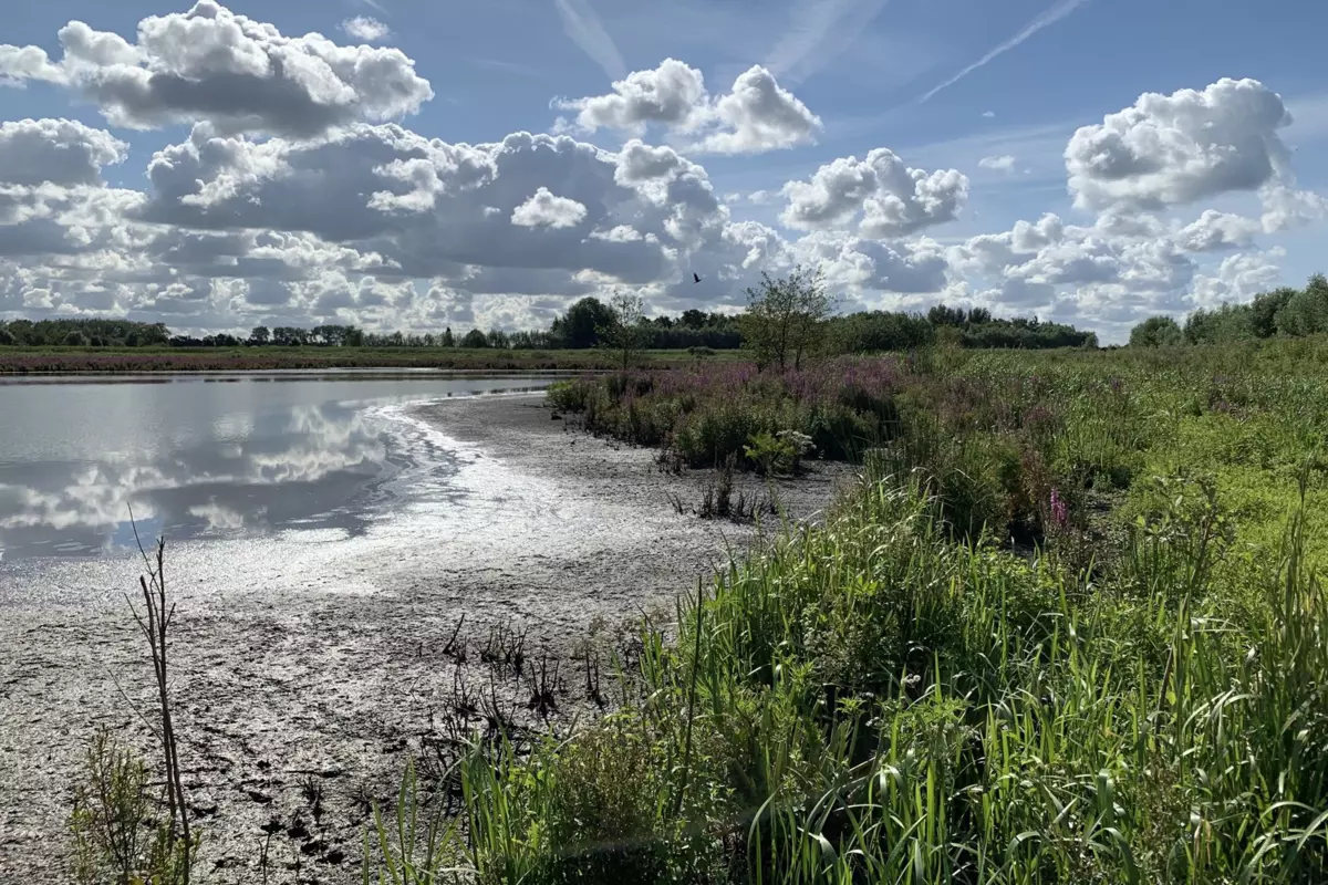 Zouweboezem