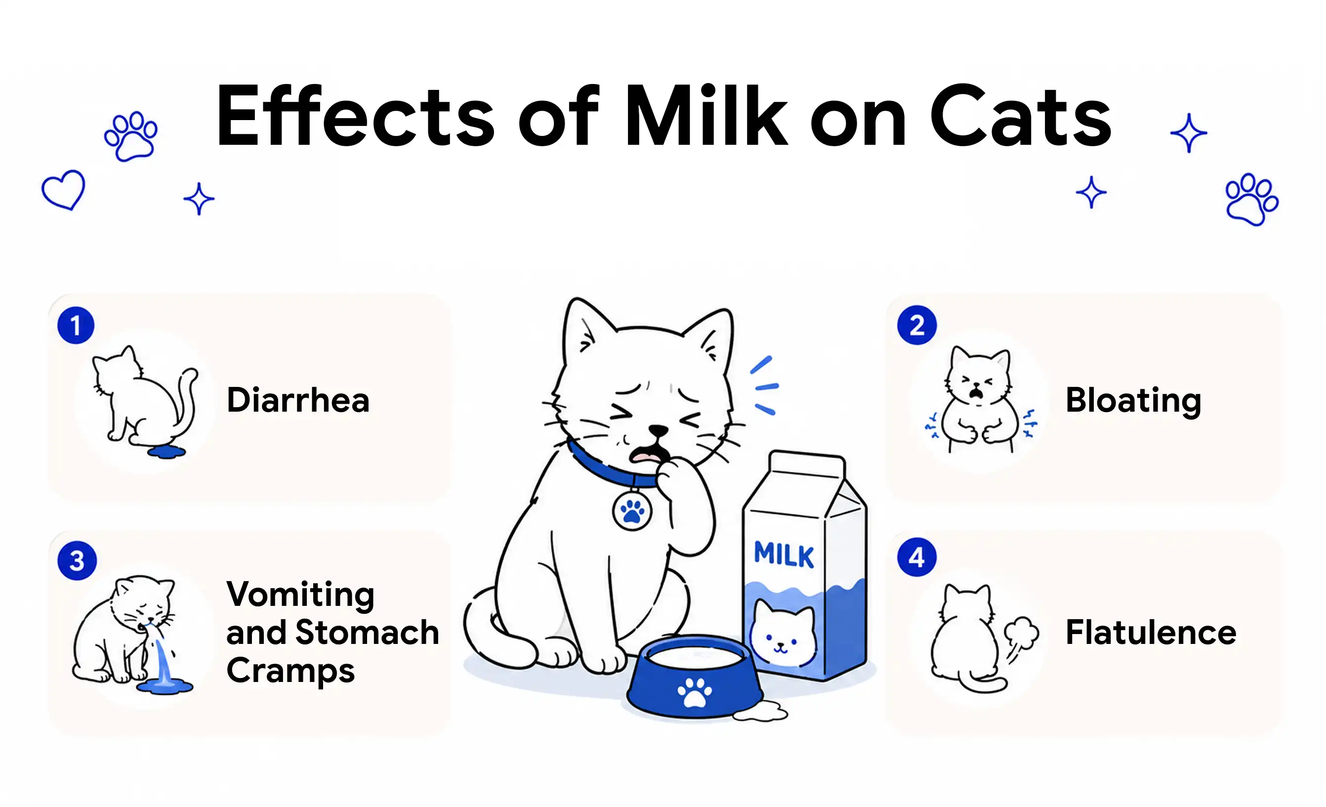 Effects of Milk for Cats