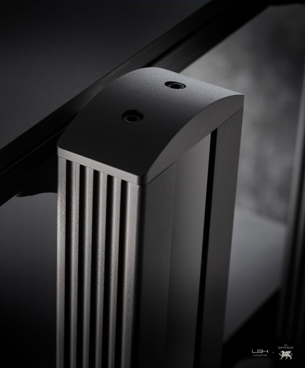 Naim NAPS 555 DR in situation