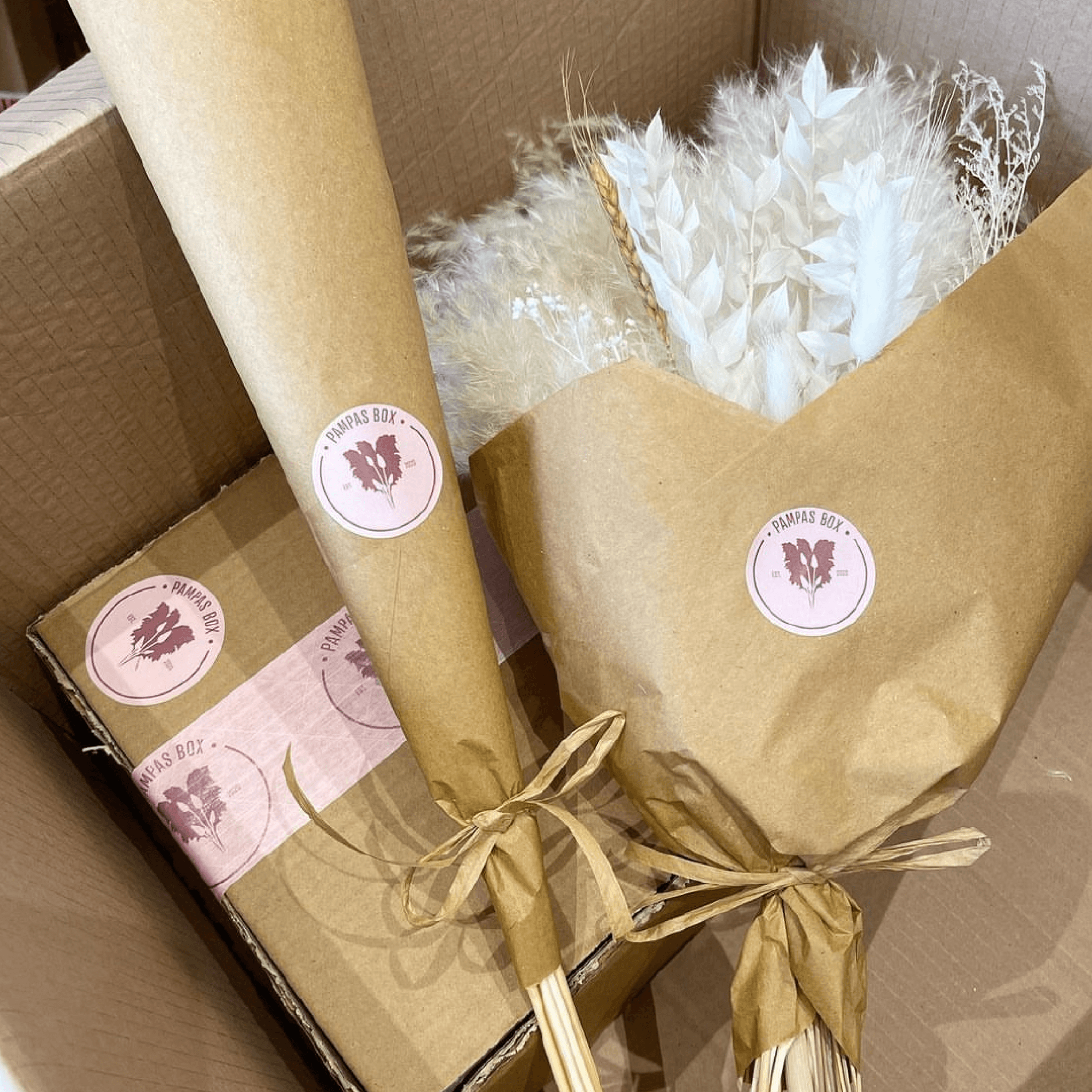 Image of Pampas Box Stationery