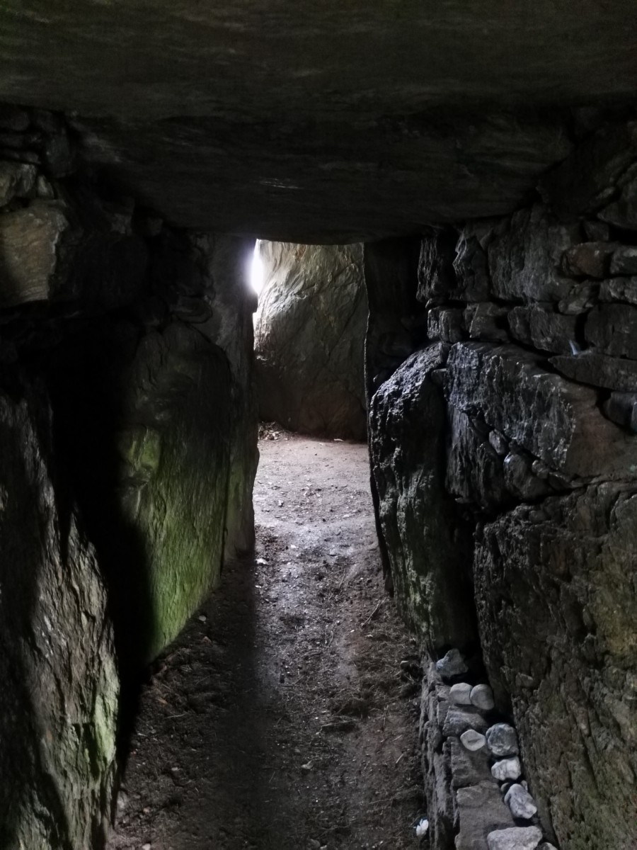 El túmulo del bosque oscuro