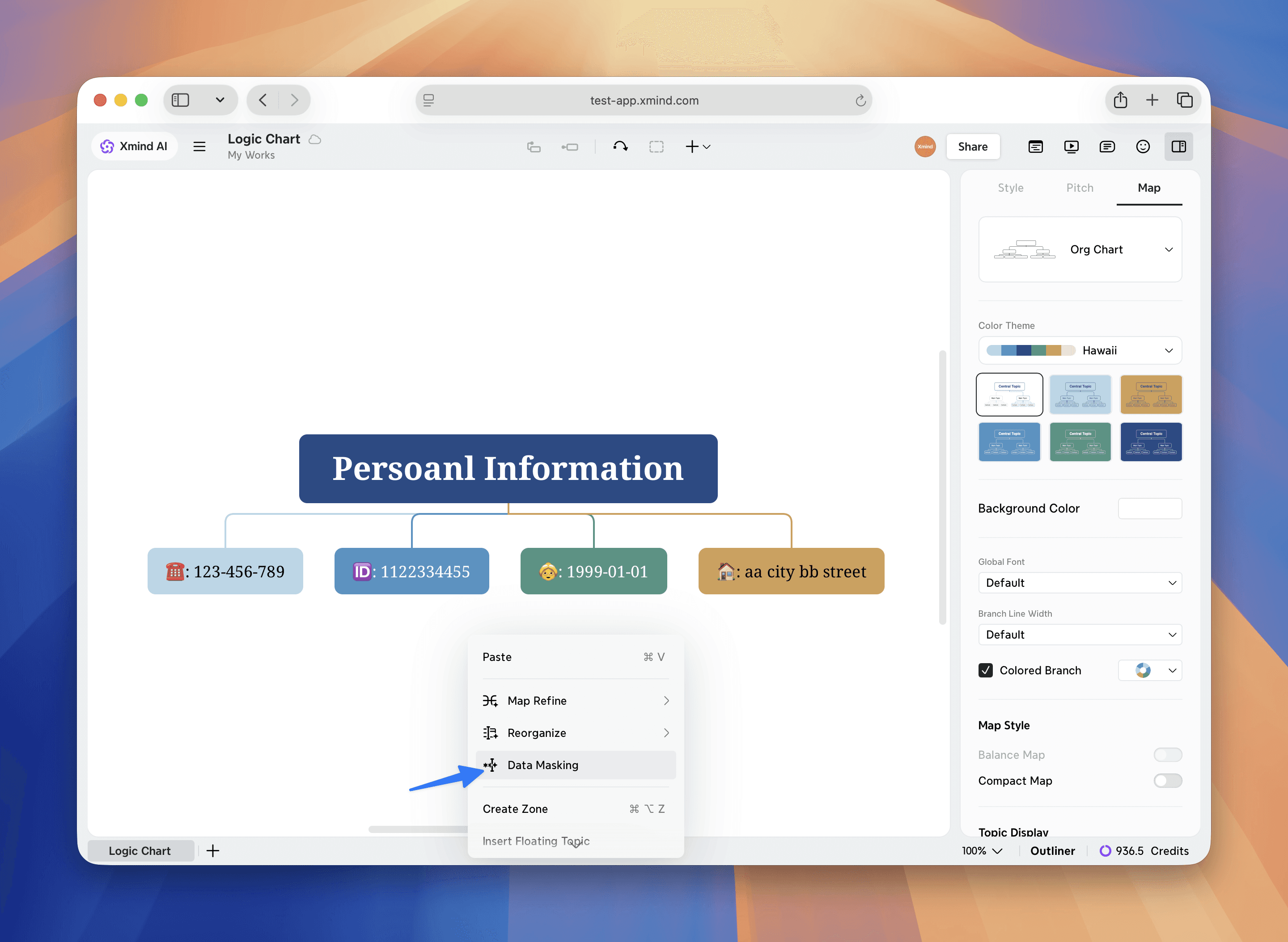 Data masking feature for personal information security