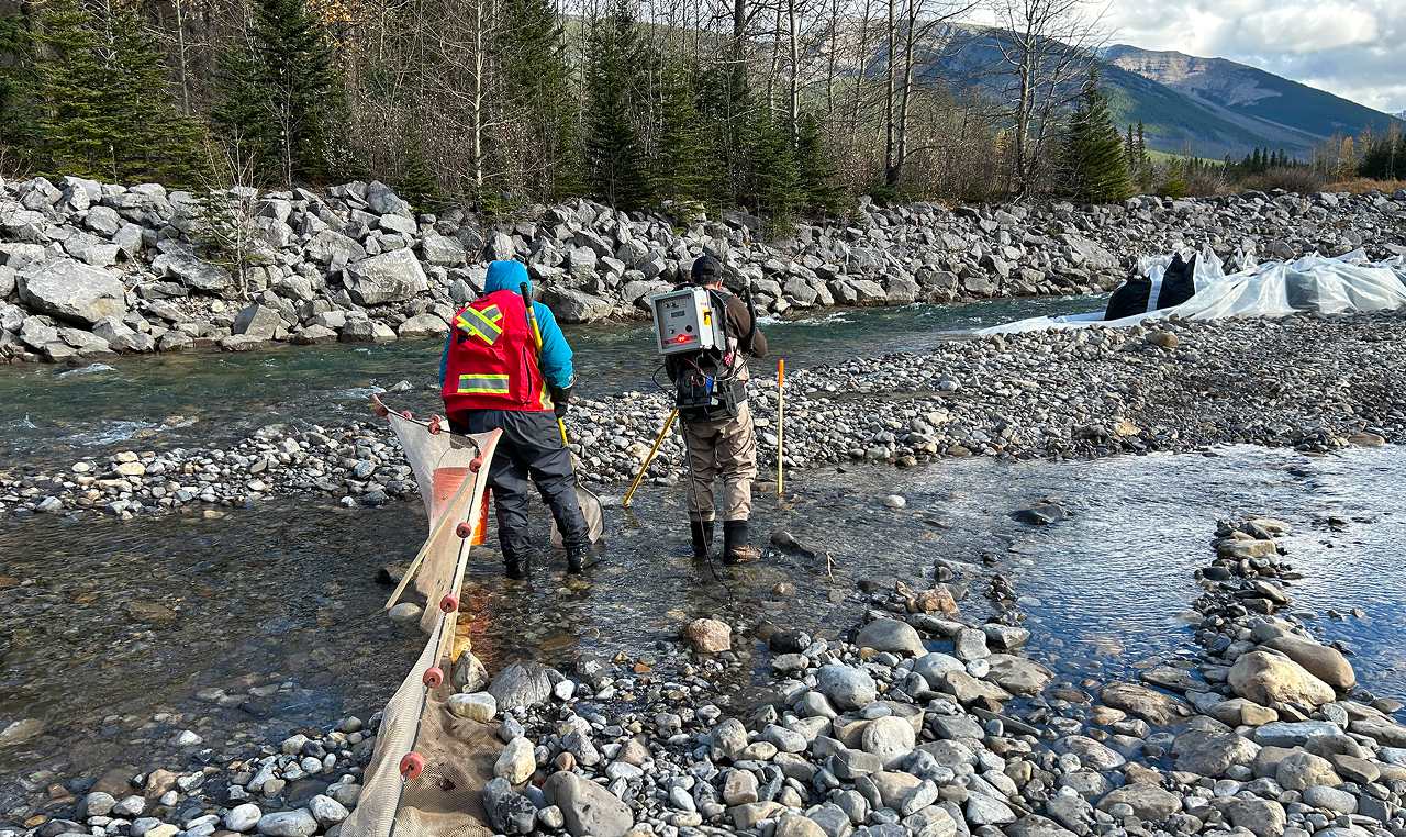 SweetTech engineers conducting stream survey work with equipment in Kananaskis River channel