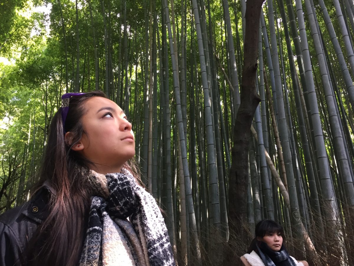Kyoto Bamboo e1500298100251