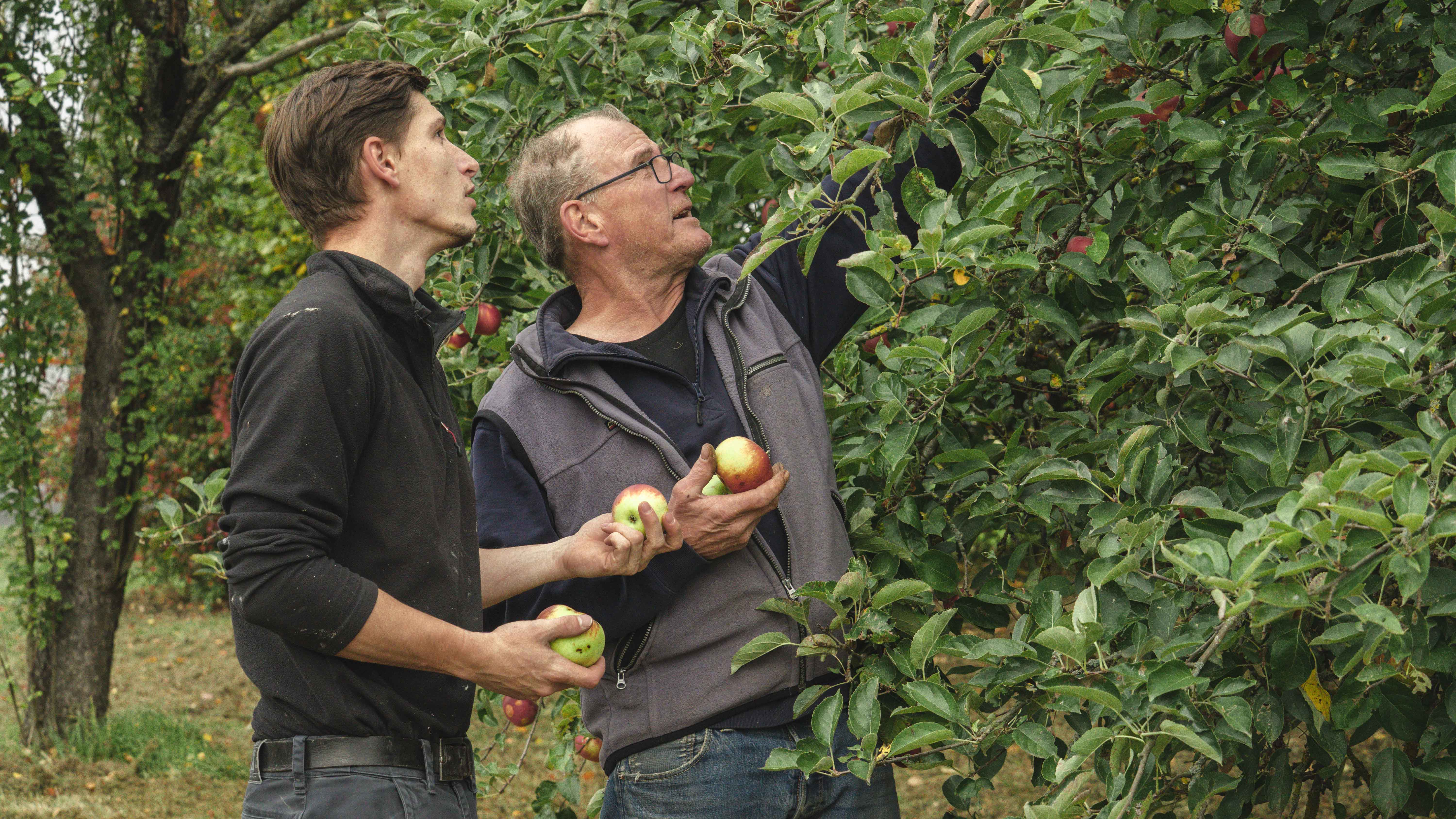 A dropper is releasing a drop of liquid into a dark glass bottle, with a soft green background.