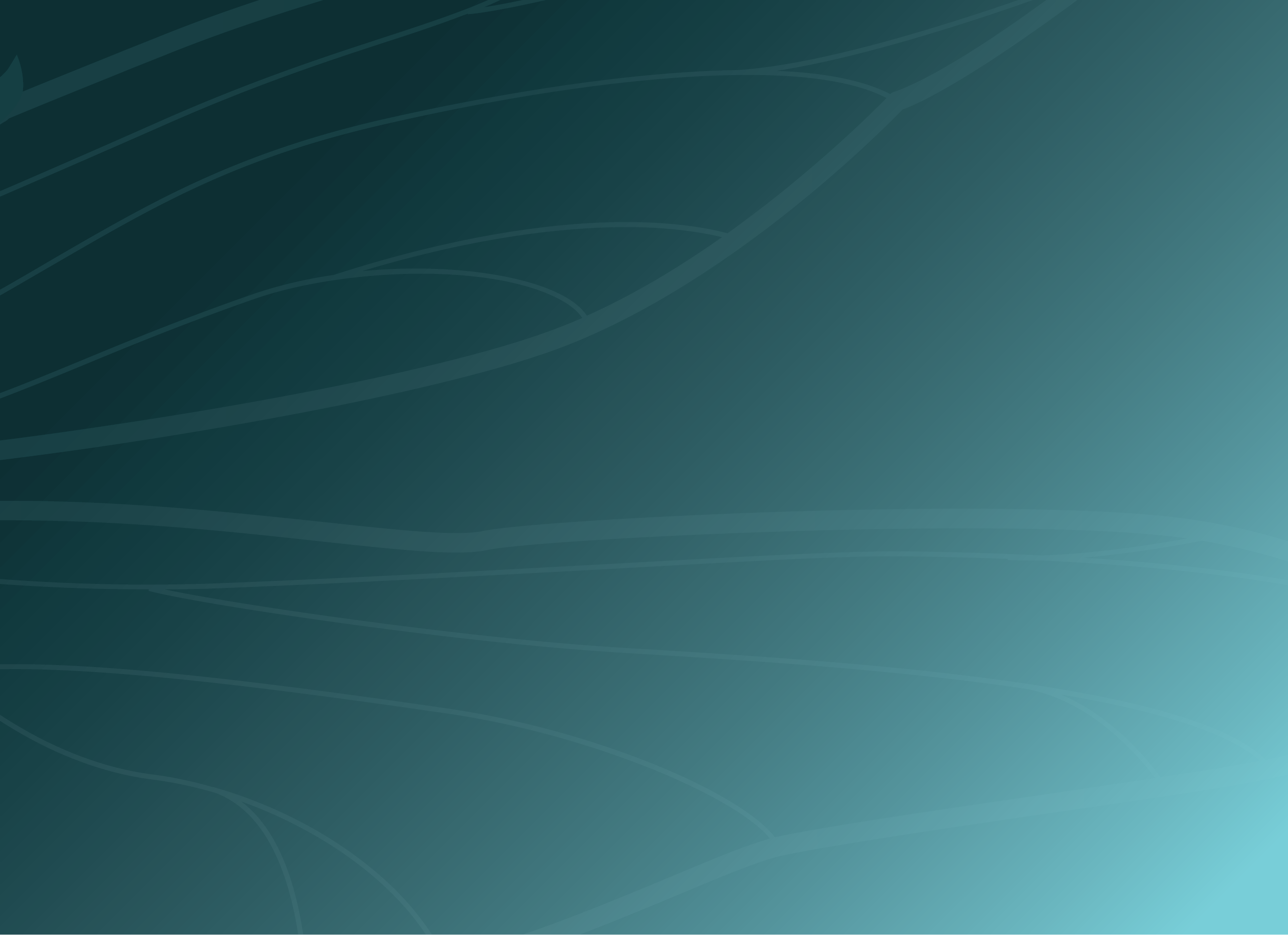 Dynamic picture of a cyclist riding downhill