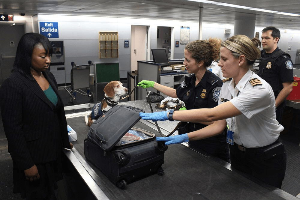 US-Zollbeamte mit Spürhund durchsuchen einen Koffer: die Art von Kontrolle, die Importe und Lieferungen verzögert.
