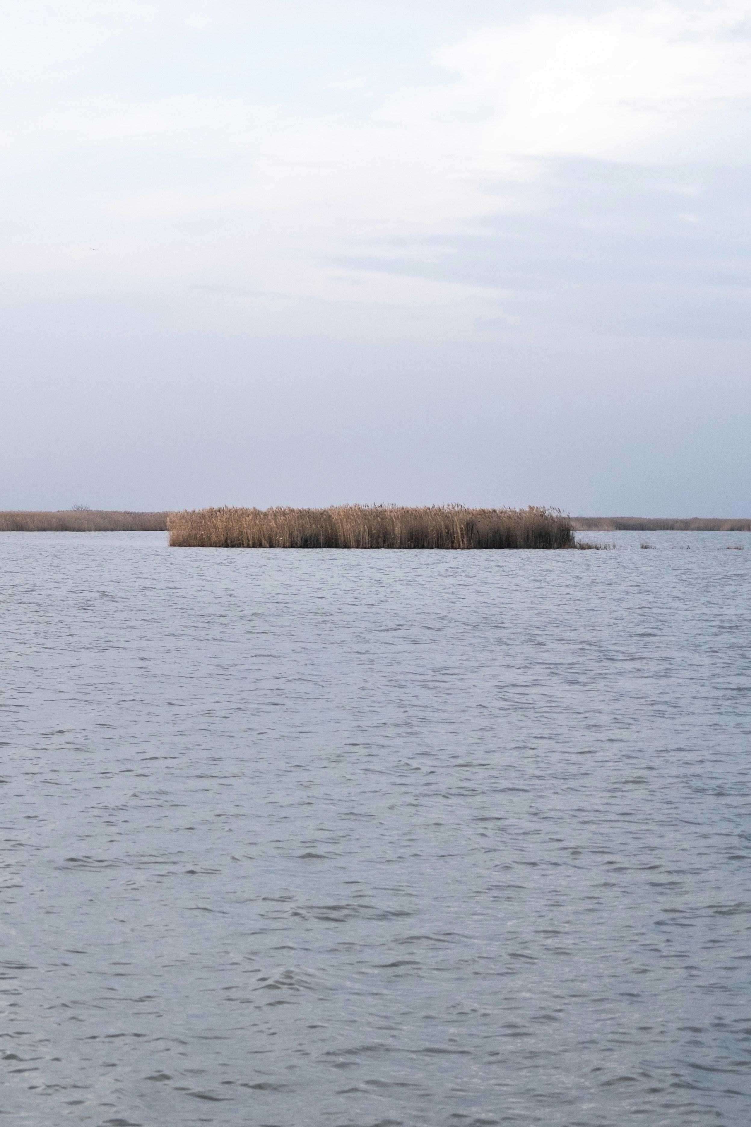 Der Neusiedler See am Morgen