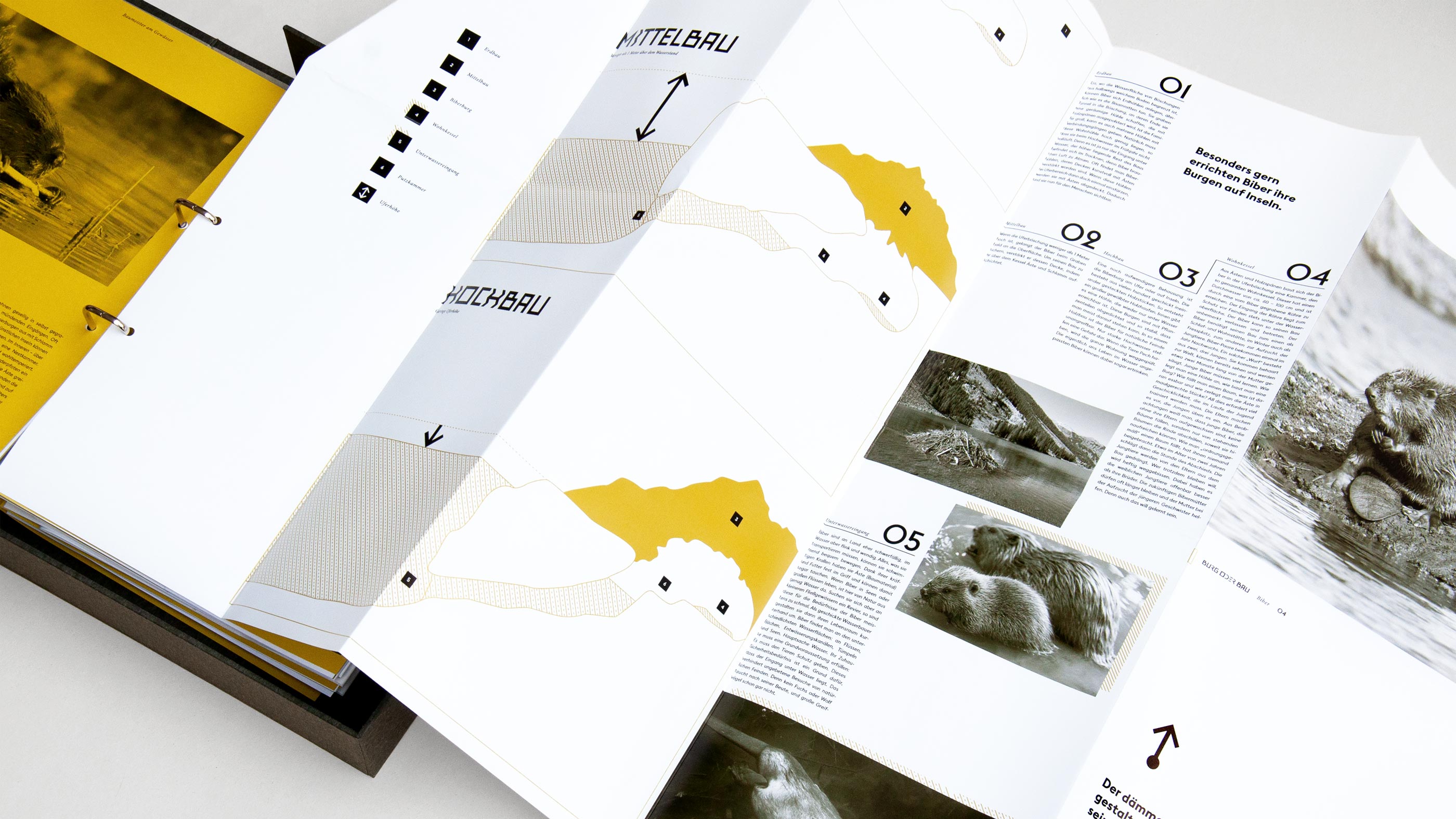 Jedes Kapitel widmet sich einem tierischen Bauwerk und besitzt eine großformatige DIN-A1-Faltung. Diese entfaltet sich zu einer illustrativen Darstellung des Bauwerks und macht dessen Struktur und Funktionsweise räumlich nachvollziehbar.