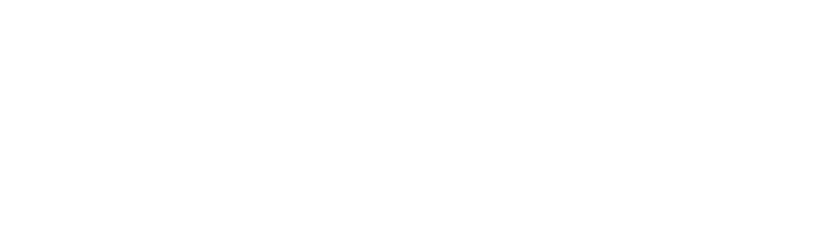 Client Icon