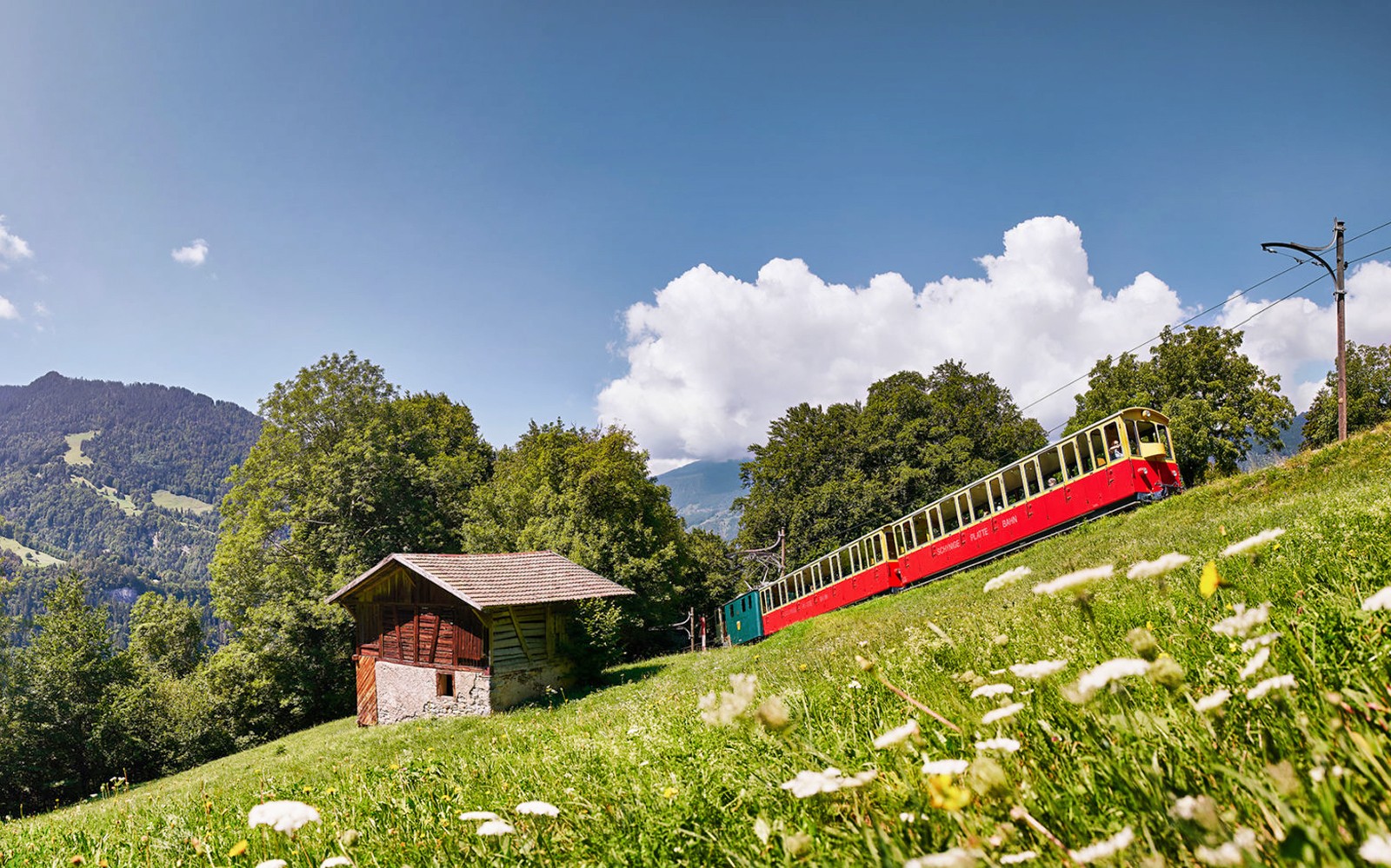 Train traveling through scenic landscape near Schynige Platte, Switzerland.