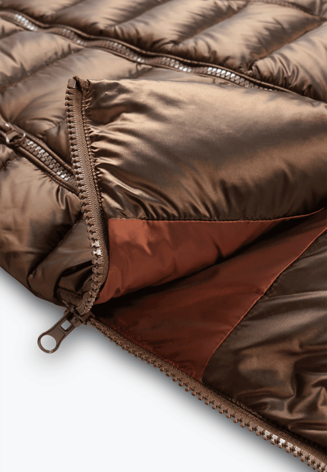 Sophia Reynolds portrait