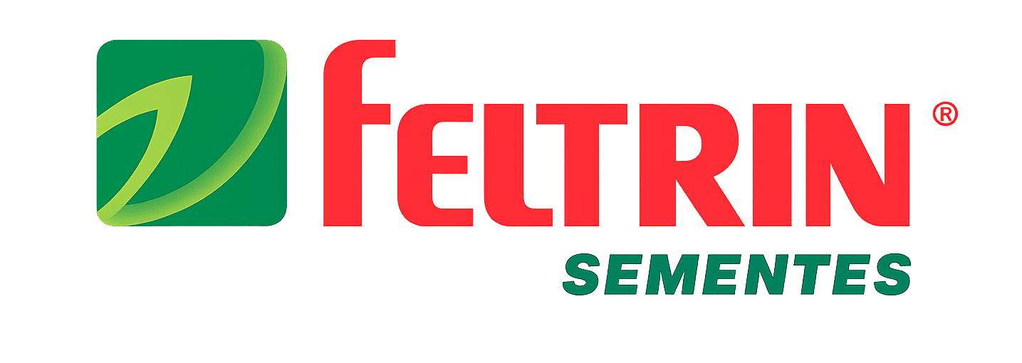 Feltrin Sementes - RaidBr Segurança Digital