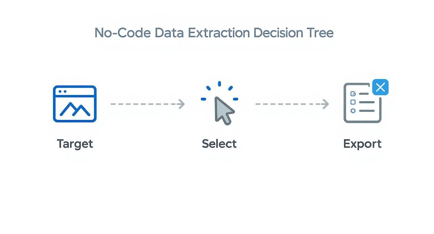 Infographic about how to extract data from websites