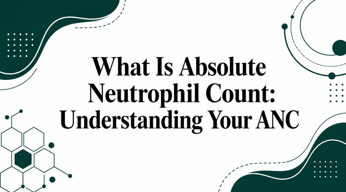What Is Absolute Neutrophil Count