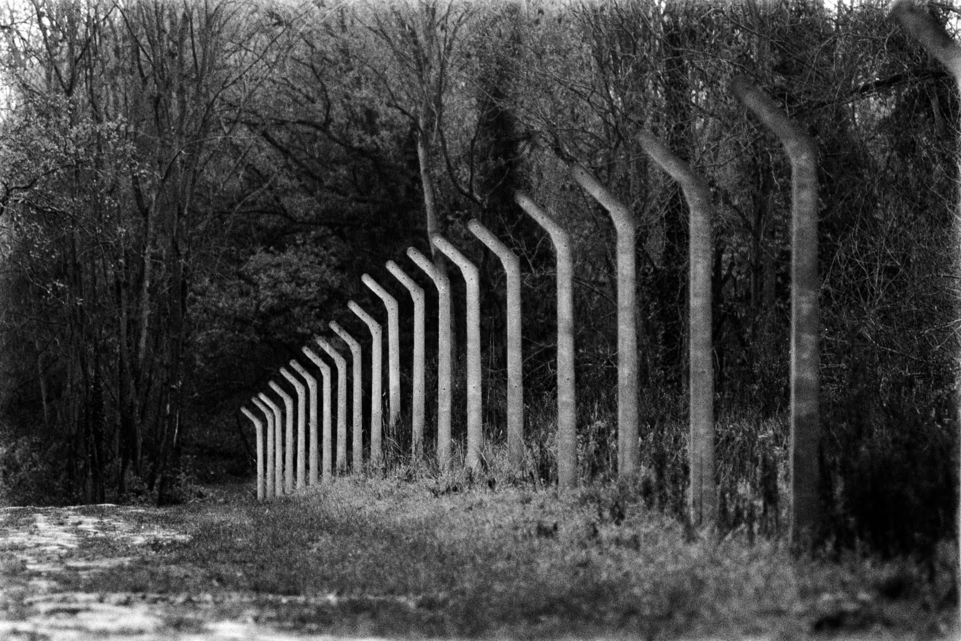 Curved concrete posts receding into distance along muddy path beside woodland