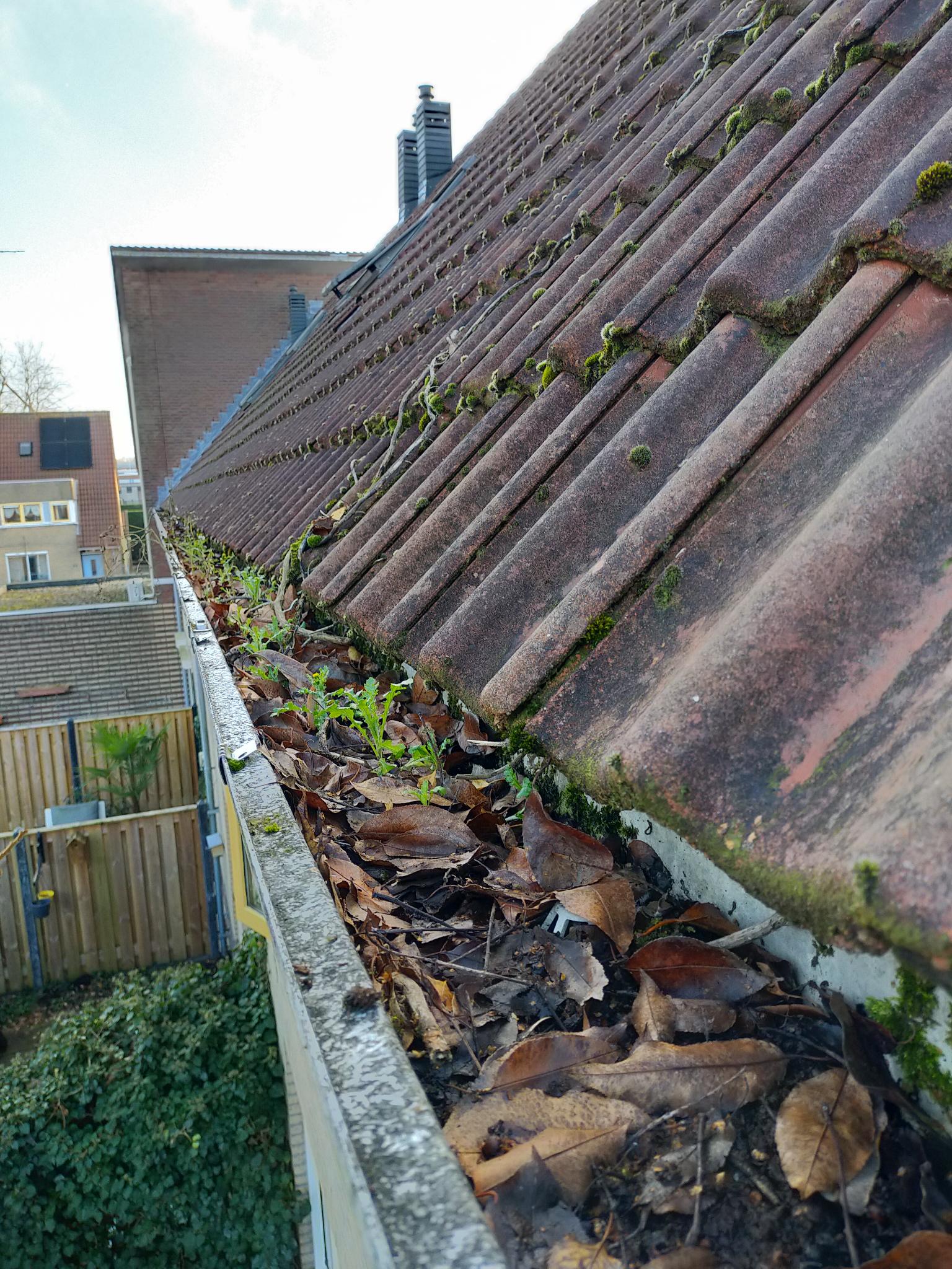 Dakgoot reinigen Tiel