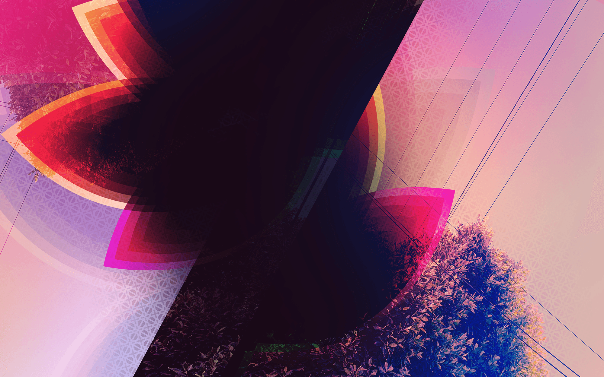 A psychedelic abstraction of colors of a sunset set over large leaf-like shapes and patterns overlaid on an image of a tree with powerlines and a pattern emanating from the center.