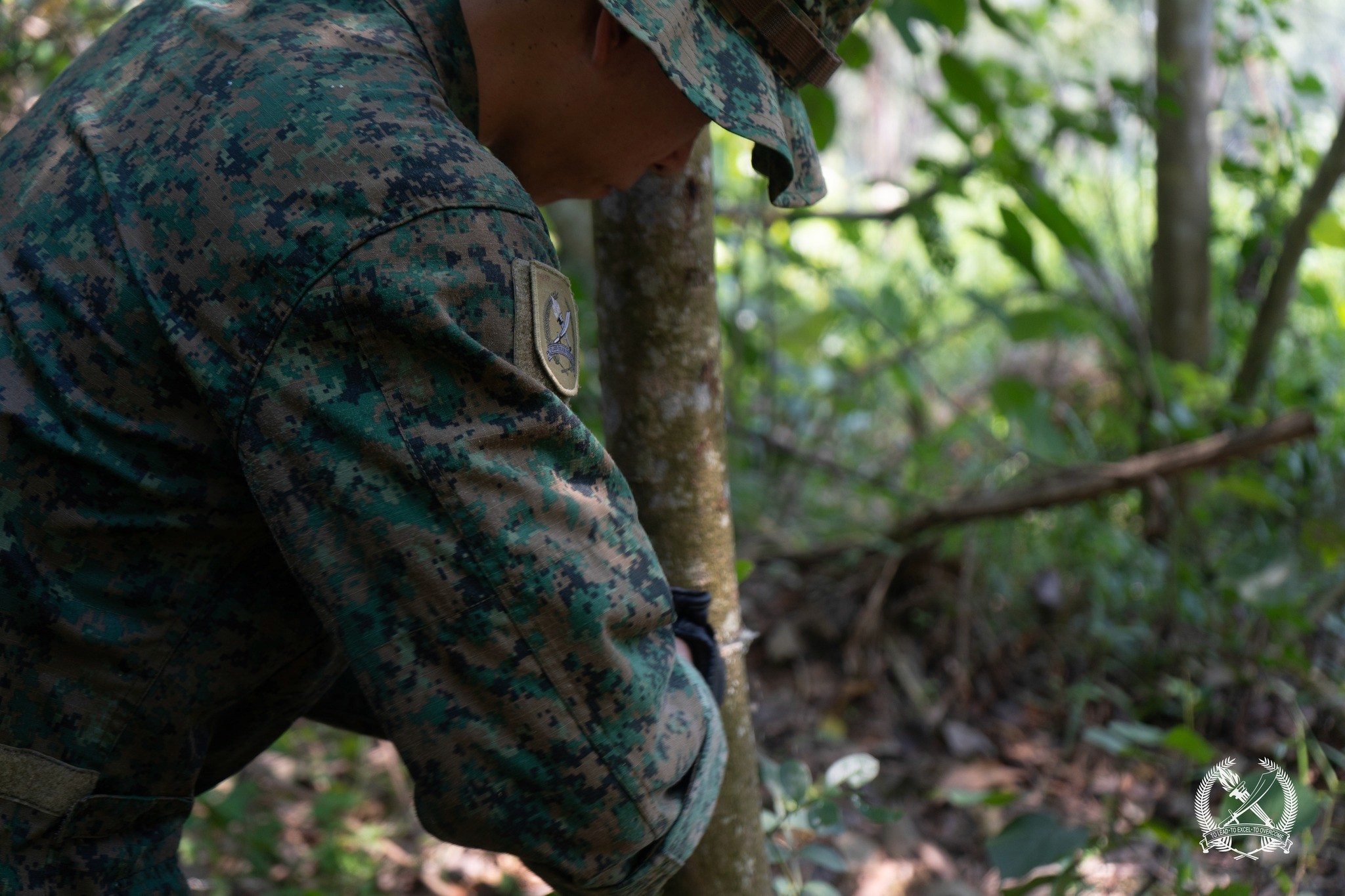 (2024) For Officer Cadet School - Jungle Survival Field Camp