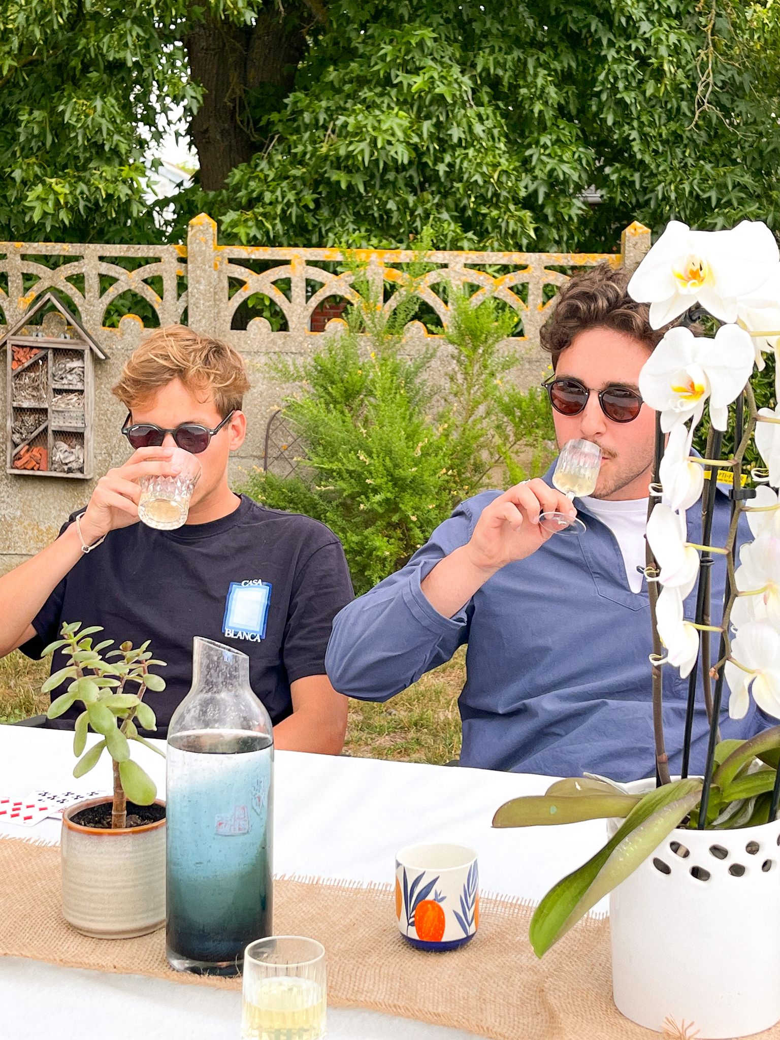 Liqueur de citron Madame Goute avec des agrumes frais et des cocktails sur une table rustique baignée de soleil.