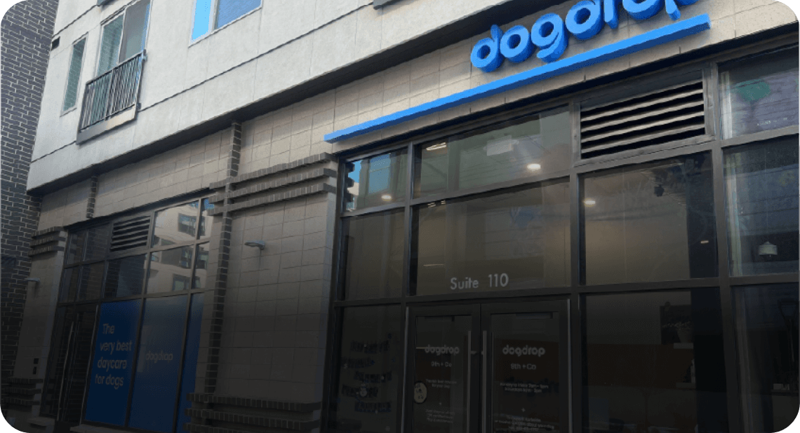 Dogdrop Denver 9+CO dog daycare