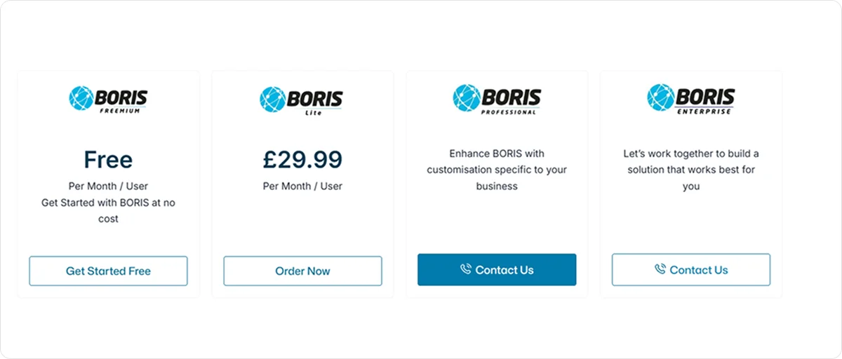 BORIS pricing