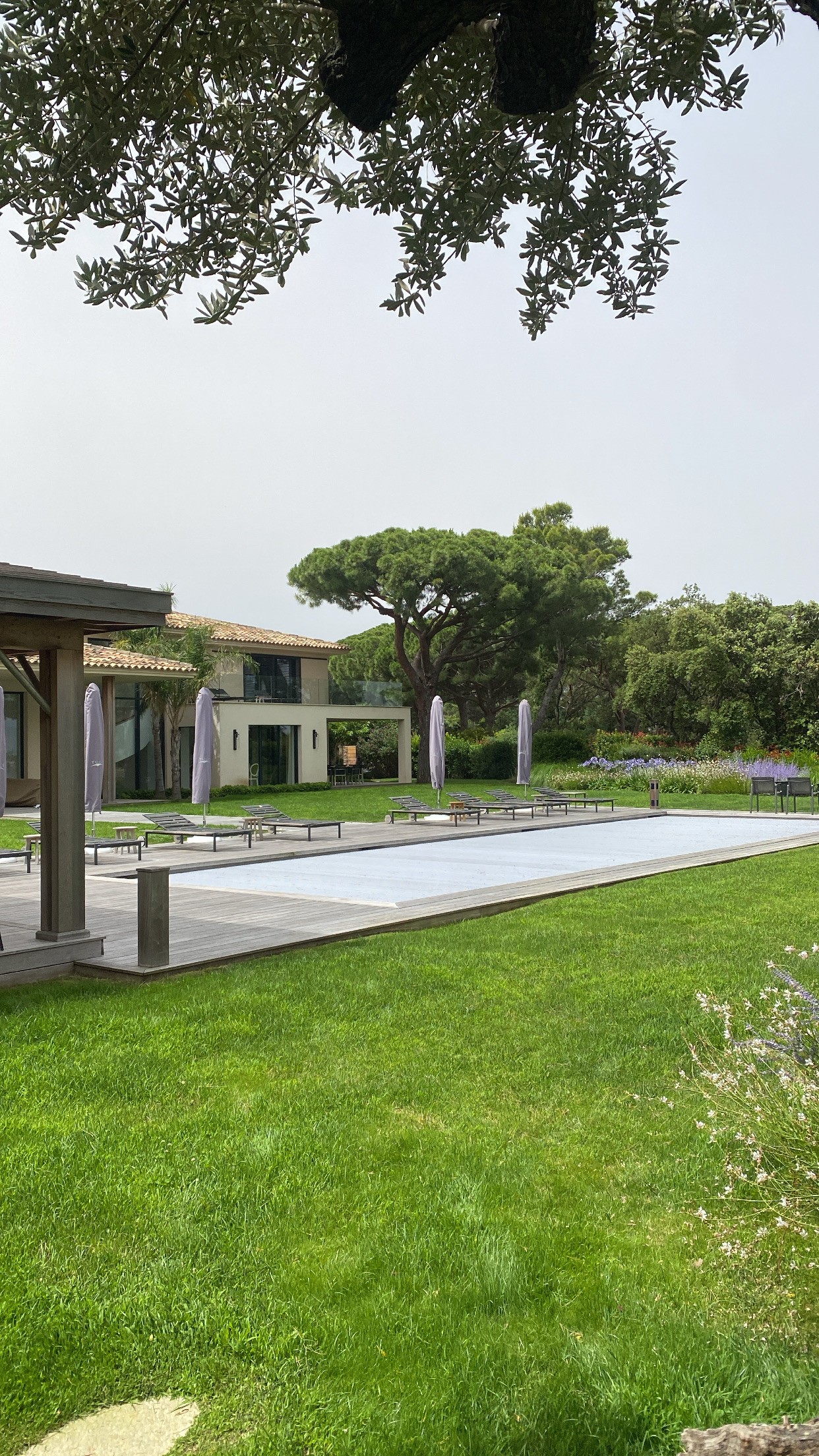 Entretien de pelouse et tonte de précision pour une villa d'exception sur la plage de Pampelonne à Ramatuelle.