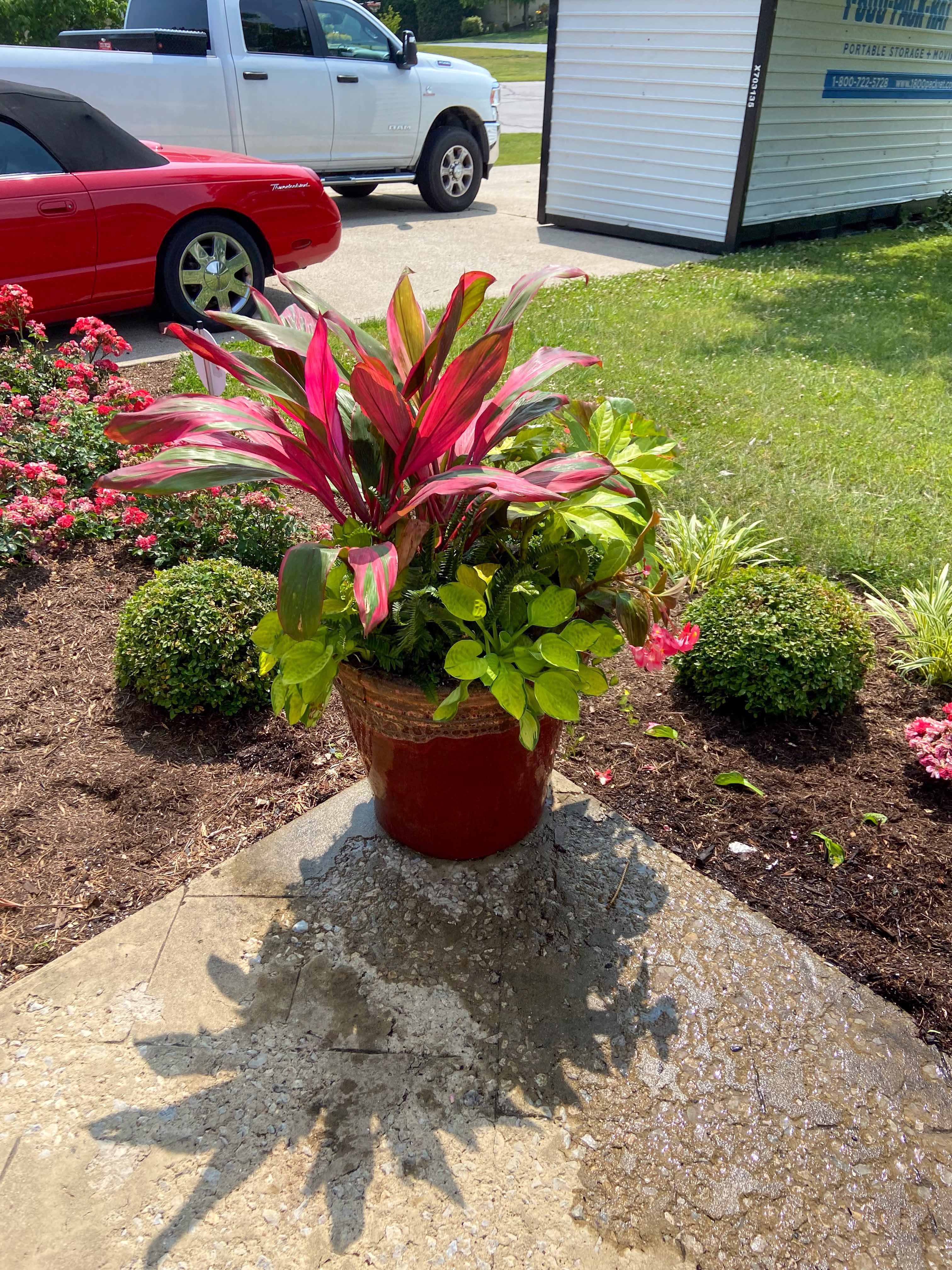 Accent Perennials added for color and seasonal pop