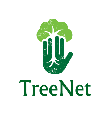 ai business consultant