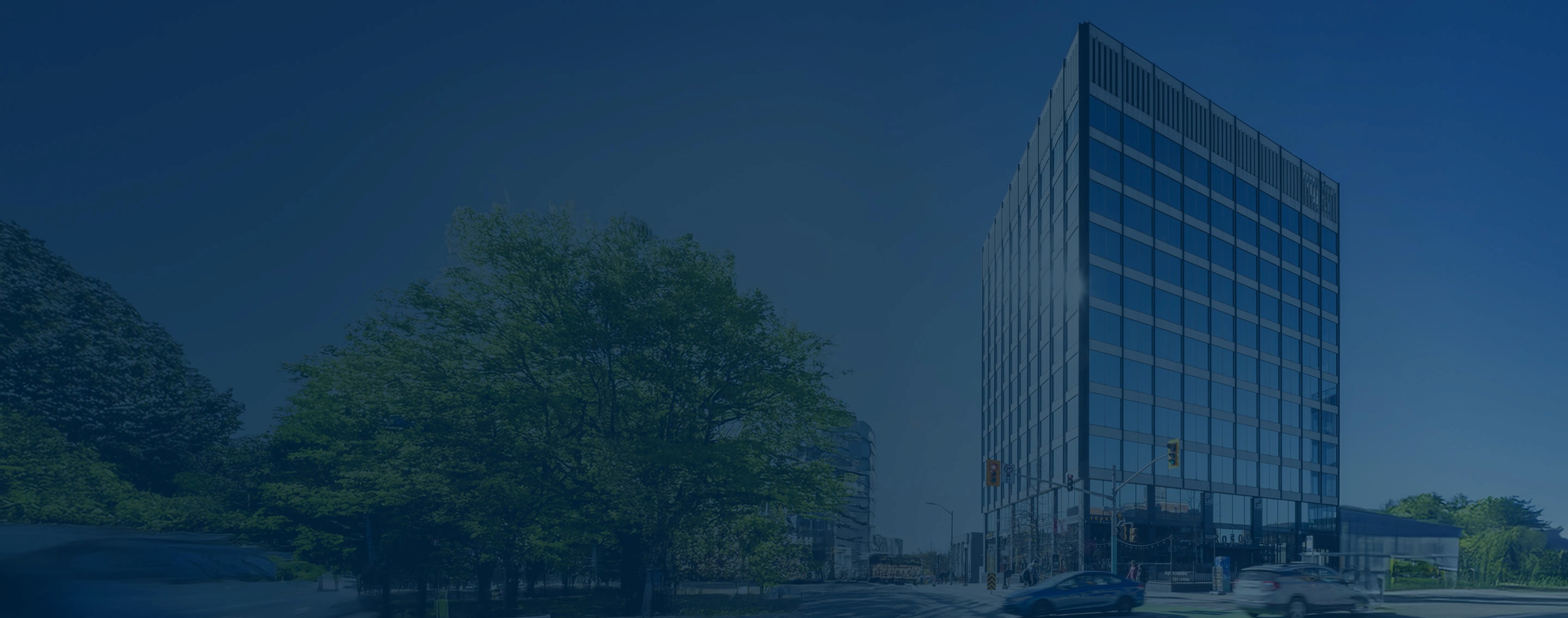 Close-up of a blue eye, focusing on the iris and pupil.
