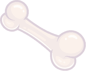 Bone