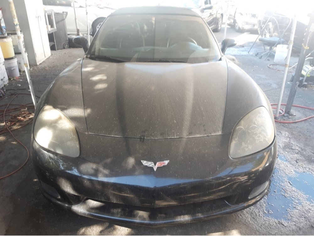 Corvette paint correction