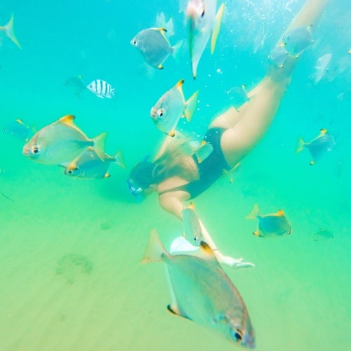 Pamamangka kasama ang mga isda