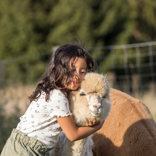 鸚鵡世界：克雷西拉沙佩勒的一日票