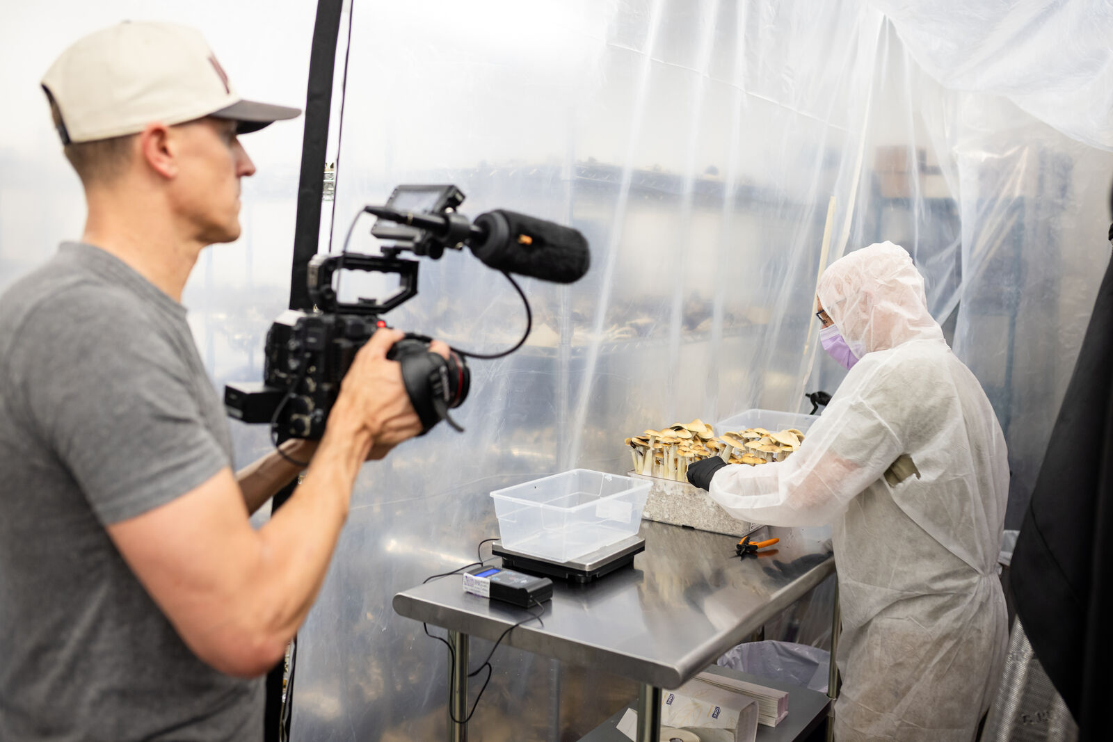 Filming in the grow lab for Dr. Hanna's Right to Try documentary