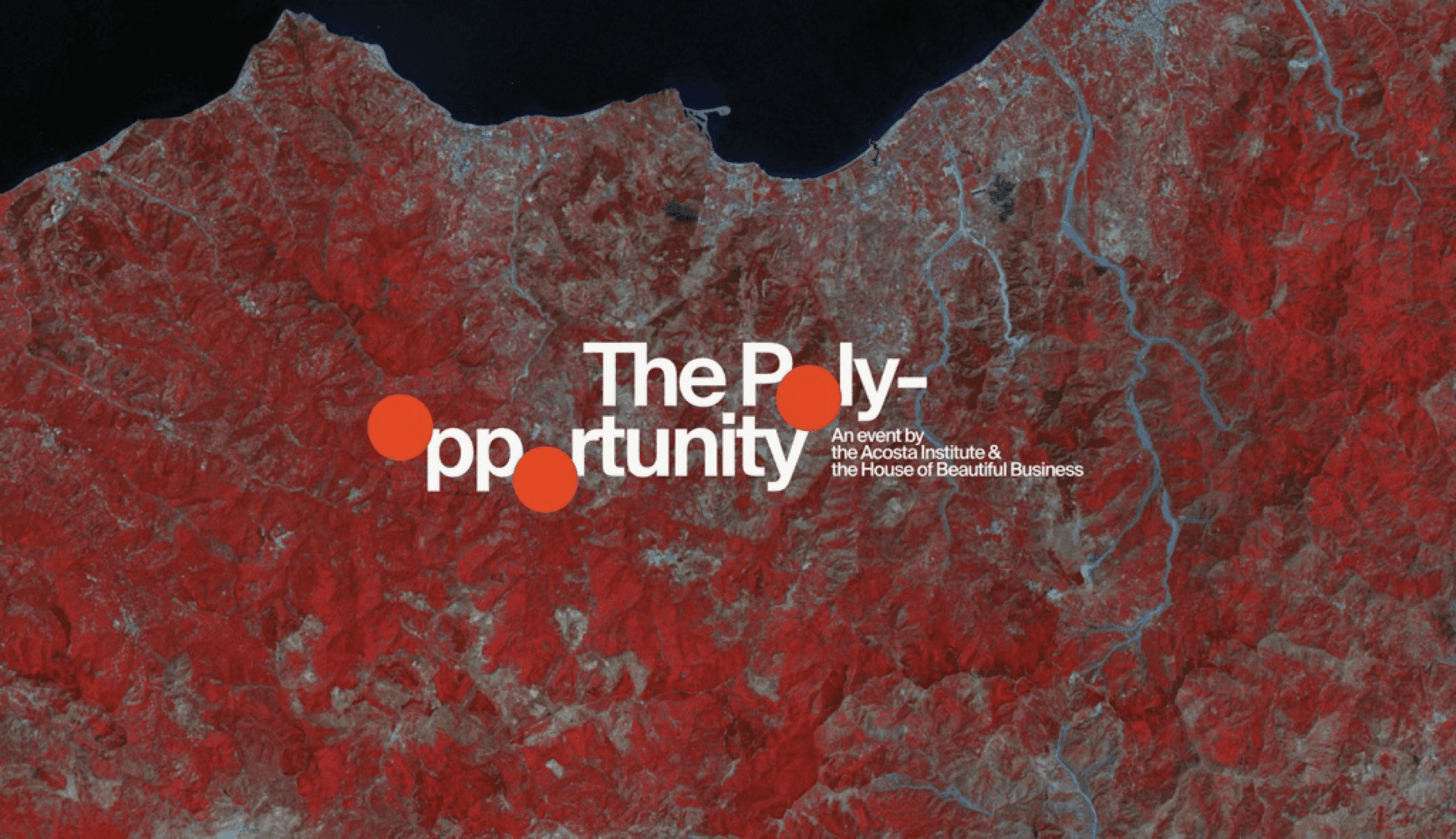 Promotional image for the Polyopportuniyt, a textured topographical map