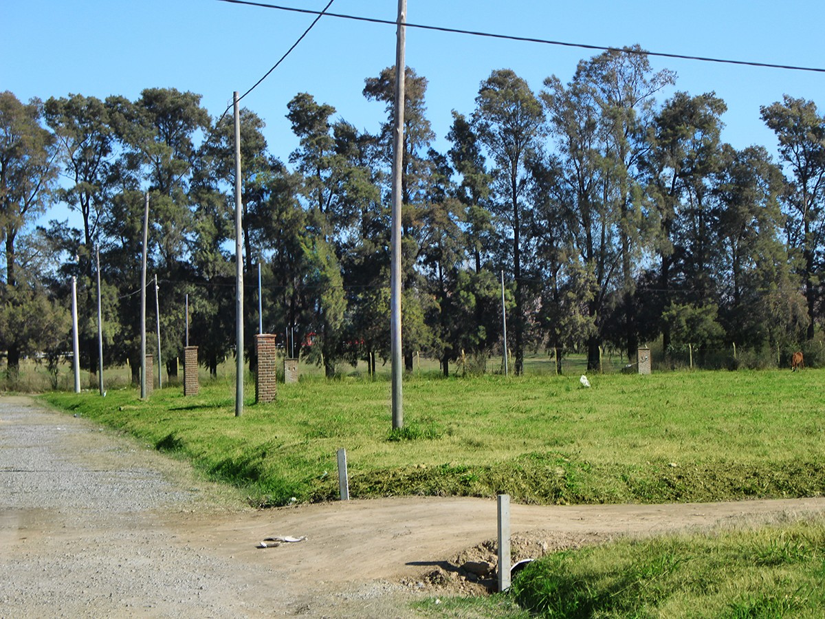 Lotes Para Todos - Cerro Rico 1