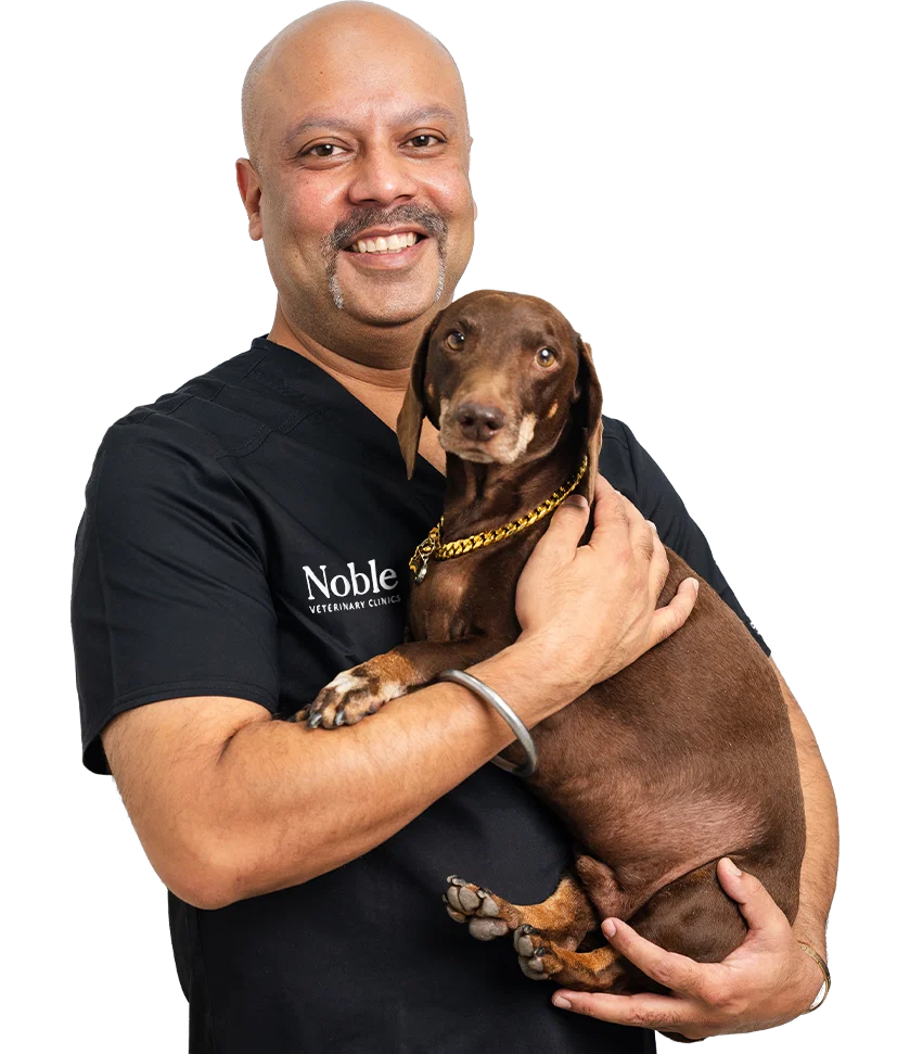 Dr. Sarabjit Singh: Orthopedic Veterinary Surgeon
