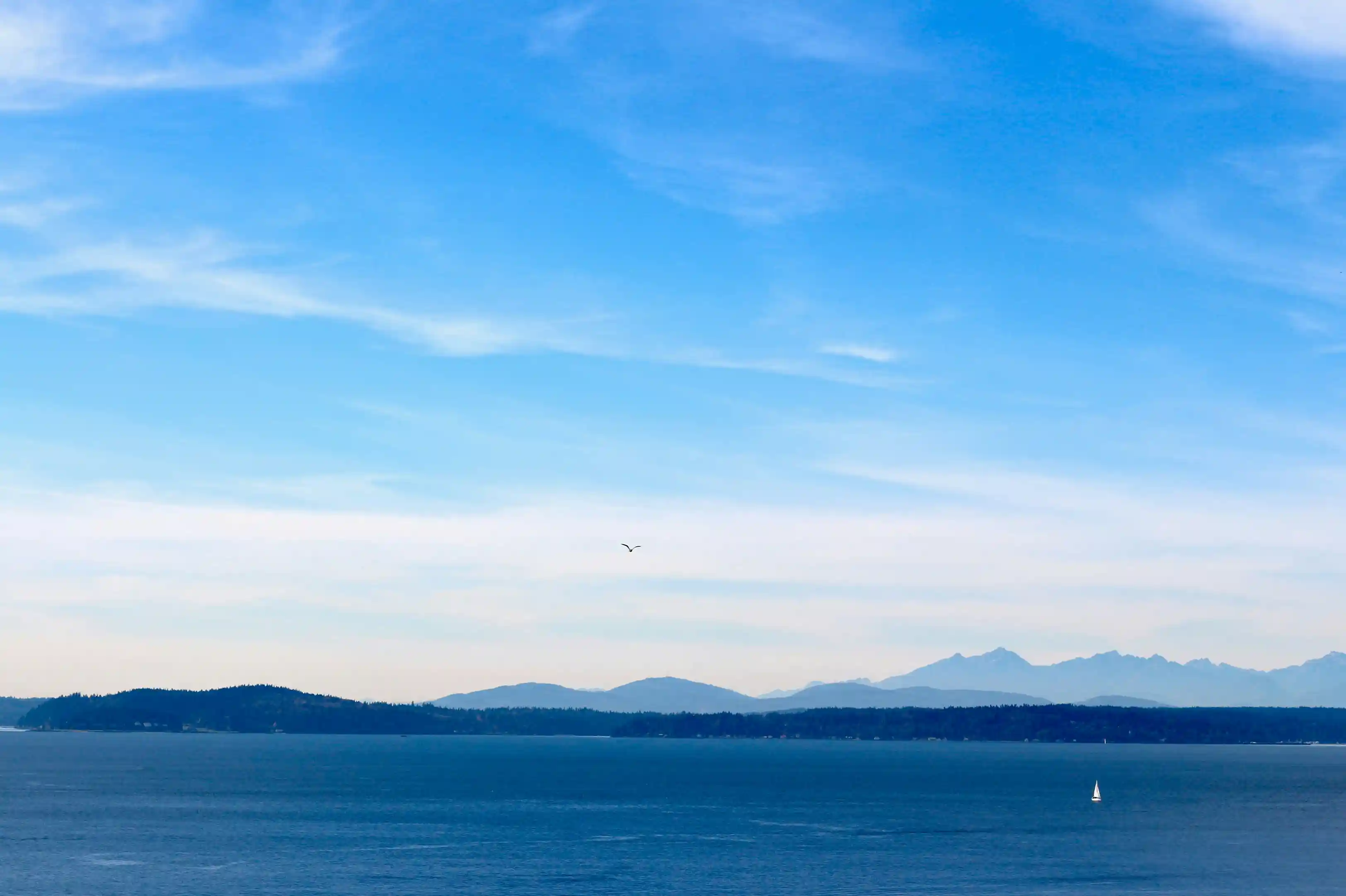 Puget Sound with Olympic mountains in the background