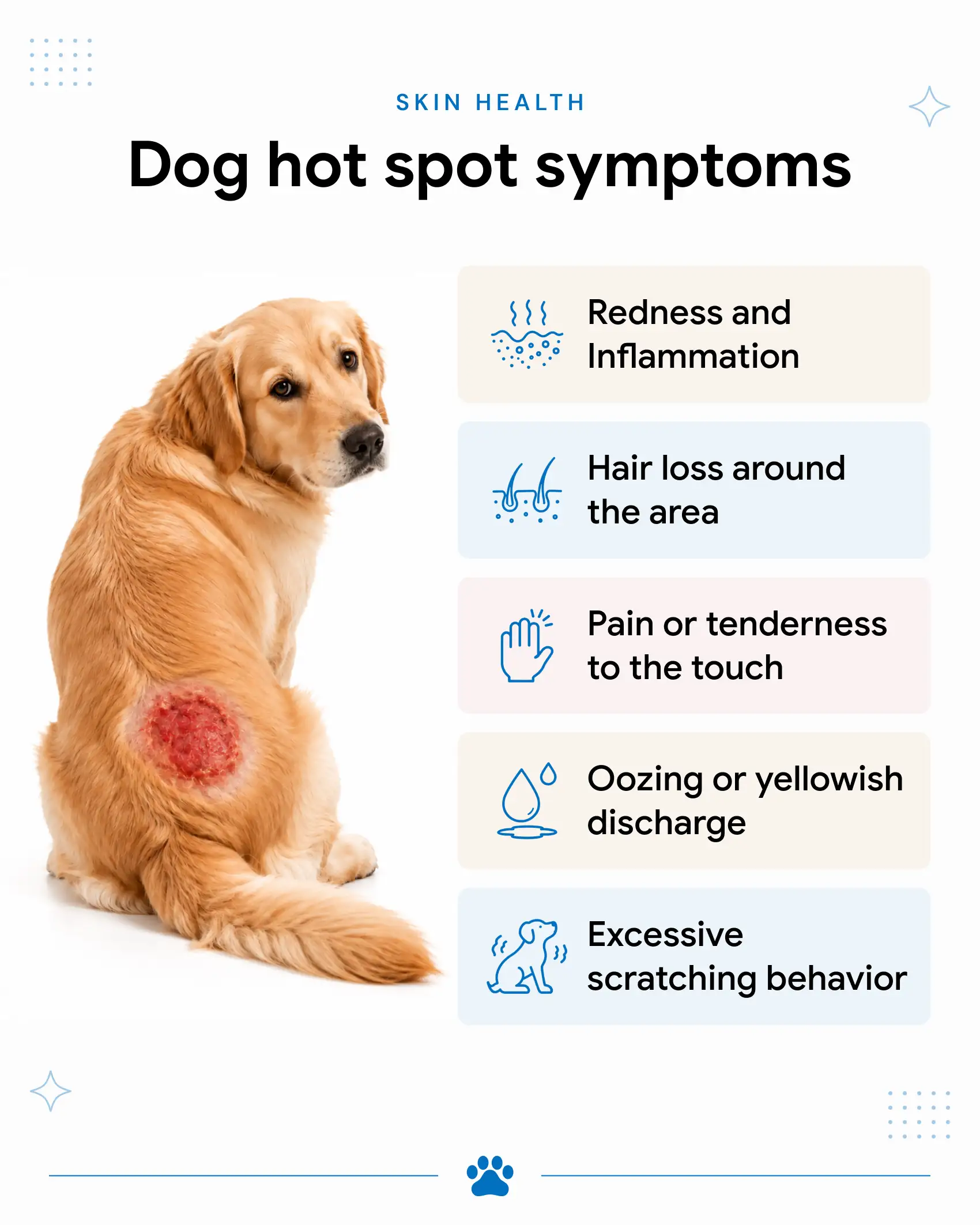 An infographic showing the signs of hot spots in dogs.