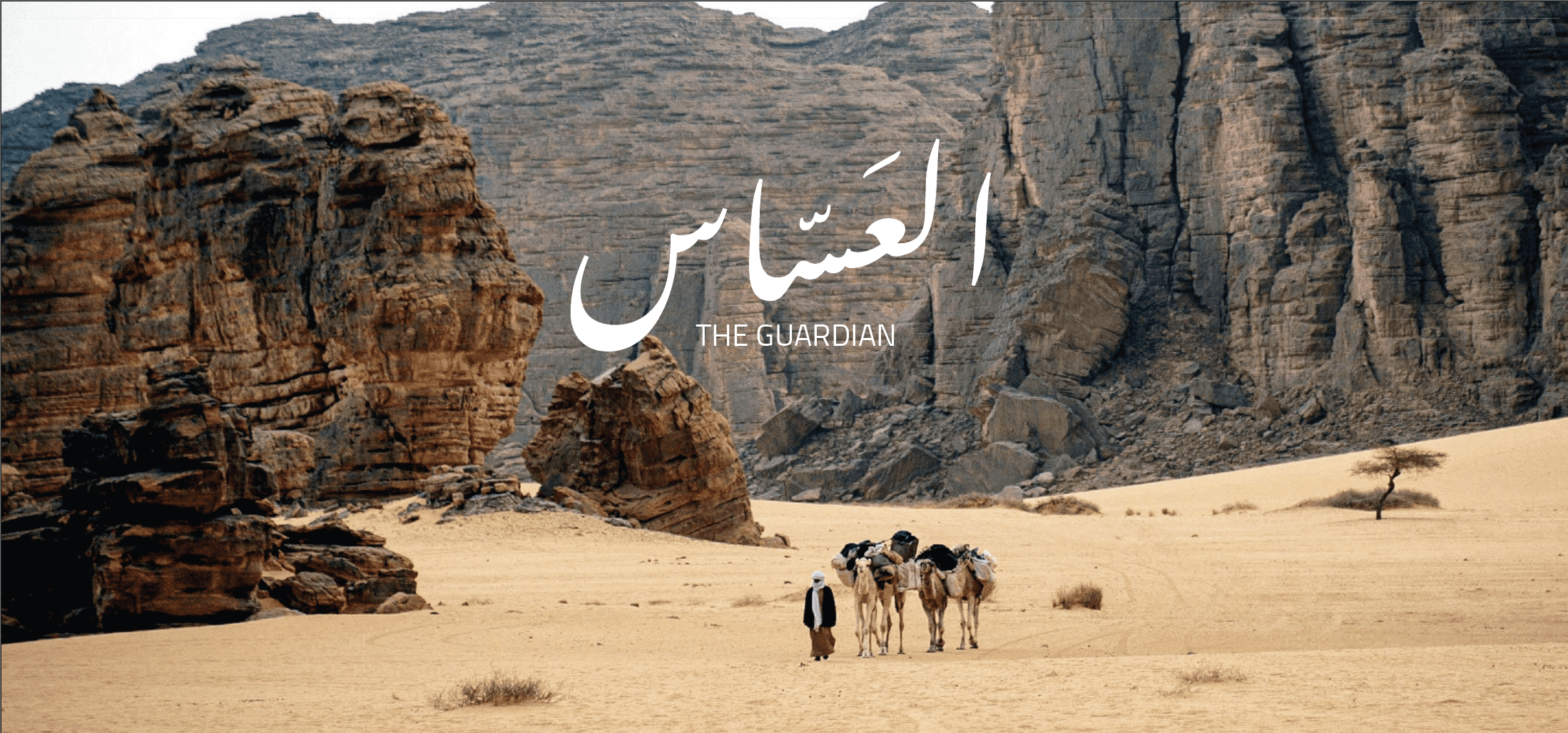 little prince live action