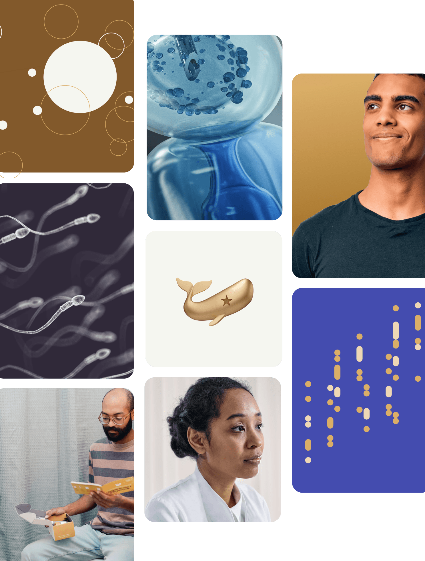 Several images of sperm, testing materials, doctors, and patients surrounding a central image of the Fellow sperm whale logomark.