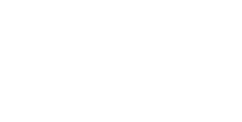 Niva Logo